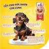 Sữa Bột Dr.Kyan Predogen 100g Dành Cho Chó Mọi Lứa Tuổi Giảm Giá 55.800 VND 7