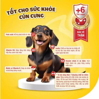 Sữa Bột Dr.Kyan Predogen 100g Dành Cho Chó Mọi Lứa Tuổi Giảm Giá 55.800 VND