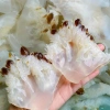 Sứa chân ăn liền 1kg - Ngon giòn, không tính nước, xả mặn - Sốt Thái, mắm nhĩ, gỏi sứa - 50.000đ 5