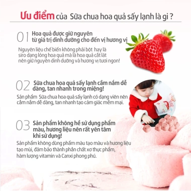 Sữa chua khô hoa quả sấy lạnh Yomit nhập khẩu Hàn Quốc ALADDINVINA – Giá chỉ 69.000đ 4 Sữa chua khô hoa quả sấy lạnh Yomit nhập khẩu Hàn Quốc ALADDINVINA – Giá chỉ 69.000đ 4