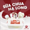 Sữa Chua Tự Nhiên Hạ Long Việt Tuấn Giảm Giá CỰC SỐC chỉ 165k - Giao 4h 6