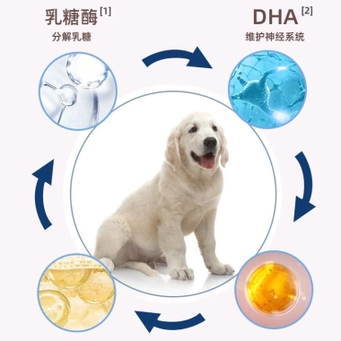Sữa Dê Bột Probiotic cho Chó Con và Mèo Con - Dành riêng cho Corgi, Tăng Cường Sức Kháng, Giá Ưu Đãi 209.650 VND 4