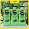 Sữa Dưỡng Thể VASELINE Intensive Care Aloe Soothe 725ml Xanh Lá - Dưỡng ẩm, làm dịu, giảm 23% chỉ 229.000đ 2