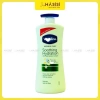 Sữa Dưỡng Thể VASELINE Intensive Care Aloe Soothe 725ml Xanh Lá - Dưỡng ẩm, làm dịu, giảm 23% chỉ 229.000đ 4