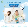Sữa Hạt Tăng Cân Hồng Hoa Organic 900g - Dinh Dưỡng Cho Người Gầy, Tiêu Hóa Kém, Suy Nhược Cơ Thể - 36 Gói 10