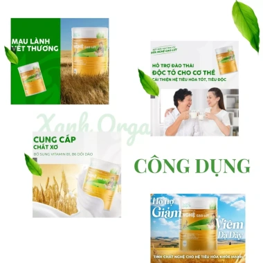 Sữa Nghệ Gạo Lứt 420g: Hỗ Trợ Tiêu Hóa, Dinh Dưỡng Toàn Diện, Giá 198.000₫