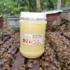 Sữa ong chúa tươi nguyên chất 500gr - Giá ưu đãi 430.000đ, tăng sức đề kháng