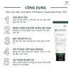 Sữa rửa mặt Caryophy Portulaca Cleansing Foam 150ml - Sạch sâu 2 lần, ngừa mụn, 39k 4