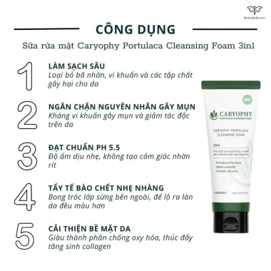 Sữa rửa mặt Caryophy Portulaca Cleansing Foam 150ml - Sạch sâu 2 lần, ngừa mụn, 39k 4