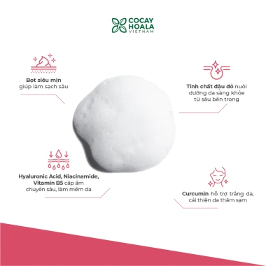Sữa Rửa Mặt Tạo Bọt Đậu Đỏ Việt Nam Sạch Sâu Cấp Ẩm Dưỡng Sáng Da 150g