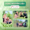 Sữa rửa mặt tạo bọt Pơ Lang 150ml - làm sạch sâu, mềm mịn, rau má, cho da mụn, da dầu, da nhạy cảm - 170.000đ 3