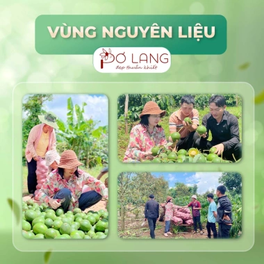 Sữa rửa mặt tạo bọt Pơ Lang 150ml - làm sạch sâu, mềm mịn, rau má, cho da mụn, da dầu, da nhạy cảm - 170.000đ 3