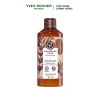 Sữa tắm gel cà phê Yves Rocher 400ml - Dưỡng ẩm, mùi thơm, giảm giá 275.000 VND 2