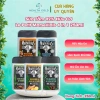 Sữa tắm gội nam hữu cơ 92% Le Petit Marseillais 4 trong 1 250ml Hương nam tính, giảm còn 155k