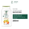 Sữa tắm Le Petit Olivier 250ml chính hãng mơ đào - Dưỡng ẩm, sáng da, ngừa mụn từ Pháp, giá 250k 5