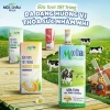Sữa tươi Mộc Châu Sơn La 48 hộp 110ml - Ngon, dinh dưỡng, giá chỉ 231.882 VND