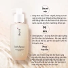 Sulwhasoo Gentle Cleansing Foam 50ml - Sữa rửa mặt và dầu tẩy trang, sạch sâu, dưỡng ẩm, da sáng khỏe, giảm giá 167k 2