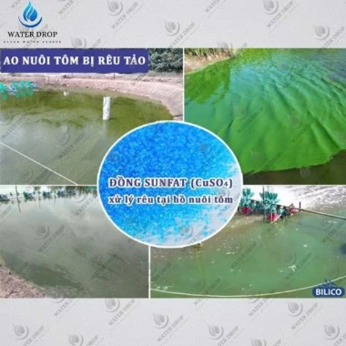 Sunfat Đài Loan 1-5kg Bao chiết lẻ, diệt khuẩn ao nuôi, xử lý nước, giảm giá 195k