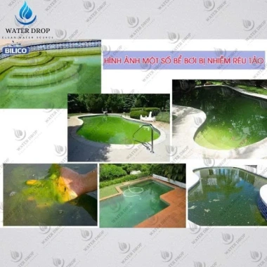Sunfat Đài Loan 25kg - Xử lý nước, diệt khuẩn ao nuôi, giảm giá tới 18% 4