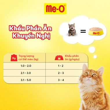 Súp thưởng Me-O 60gr (15g x4) 8 vị - Tặng nón BH HĐ299k, giá chỉ 45.000đ