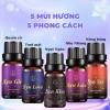 SYNCHOICE Nước Hoa Vùng Kín SynKiss 5ml - Lưu Hương Quyến Rũ Cả Ngày, Tự Tin 5