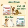 Tã cao cấp Tushie Treats cho chó đực 2-5kg dùng một lần - giá ưu đãi 37.500₫ 6