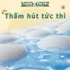 Tã cao cấp Tushie Treats XS cho chó đực 0.3-2.5kg, dùng một lần, giảm giá 35.000₫ 5