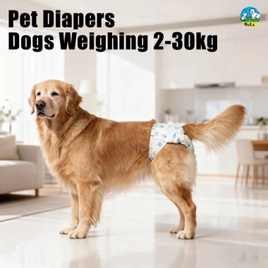 Tã chó cái 12 miếng chống tràn, khô thoáng, quần sinh lý thoáng khí 2‑30kg – Đồ dùng thú cưng
