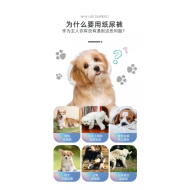 Tã chó cái 12 miếng chống tràn, khô thoáng, quần sinh lý thoáng khí 2‑30kg – Đồ dùng thú cưng