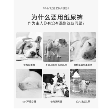 Tã quần chó dùng một lần an toàn thoáng khí, khóa nước Dry cho chó đực, Bitch, mang thai