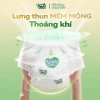 Tã Quần Tushie Treats công nghệ Nhật Bản thấm hút 1.000ml, giữ mông bé khô thoáng, size M‑XL‑2XL‑3XL 4
