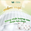 Tã Quần Tushie Treats công nghệ Nhật Bản thấm hút 1.000ml, giữ mông bé khô thoáng, size M‑XL‑2XL‑3XL 6
