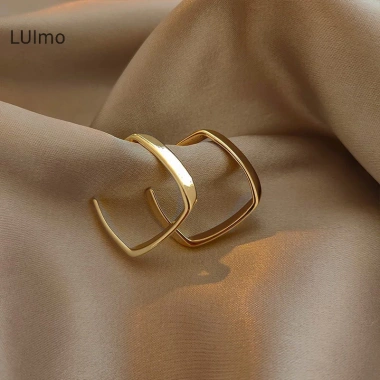 Tai bông kim loại hình học tối giản Luimo - Cặp đôi thời trang nữ, giá 30.140đ 7