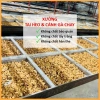 Tai heo chay khô 1kg-200g, tai lợn chay, cánh hoa chay – Chay Tâm Việt, chỉ 38.200 VND 3