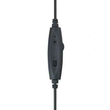 Tai Nghe Có Dây Rapoo H100 - Âm Thanh Stereo, Jack 3.5mm, Đeo Thoải Mái, Tương Thích Nhiều Thiết Bị, Giá 189.000 VND