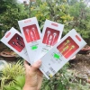 Tai nghe điện thoại có dây BYZ 519 chính hãng 4 màu trắng, đen, hồng, xanh - giảm 20% còn 81.667₫ 4