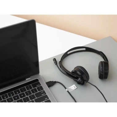 Tai Nghe USB Rapoo H120 Chính Hãng - Âm Thanh Nổi, Mic Rõ, Dành cho Học Sinh - Sinh Viên - Văn Phòng, Giá 289.000đ 7