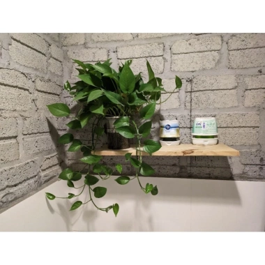 Tấm kệ đựng đồ nhà vệ sinh trang trí - Giá chỉ 50.000, tiện lợi, sang trọng 2 Tấm kệ đựng đồ nhà vệ sinh trang trí - Giá chỉ 50.000, tiện lợi, sang trọng 2