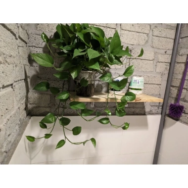 Tấm kệ đựng đồ nhà vệ sinh trang trí - Giá chỉ 50.000, tiện lợi, sang trọng 3 Tấm kệ đựng đồ nhà vệ sinh trang trí - Giá chỉ 50.000, tiện lợi, sang trọng 3