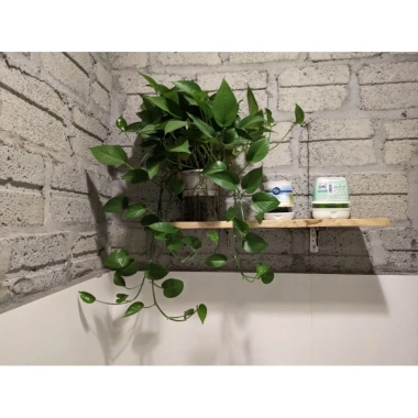 Tấm kệ đựng đồ nhà vệ sinh trang trí - Giá chỉ 50.000, tiện lợi, sang trọng 4 Tấm kệ đựng đồ nhà vệ sinh trang trí - Giá chỉ 50.000, tiện lợi, sang trọng 4
