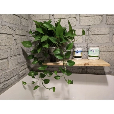 Tấm kệ đựng đồ nhà vệ sinh trang trí - Giá chỉ 50.000, tiện lợi, sang trọng