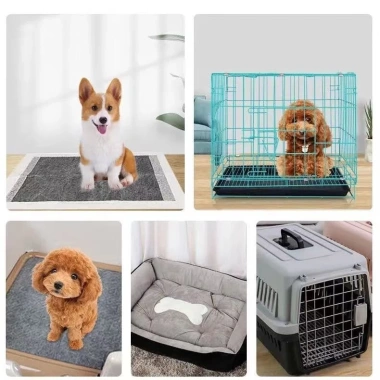 Tấm lót một lần khử mùi than tre cho chó, thấm nước, dày, tã Pháp - Dành cho Golden Retriever, hoạt tính