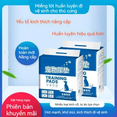 Tấm lót vệ sinh cho chó lớn chất dẫn dụ siêu thấm hút - Huấn luyện đi vệ sinh trong nhà, giá ưu đãi 348.869₫