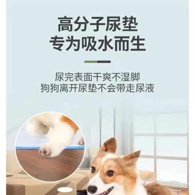 Tấm lót vệ sinh cho chó lớn chất dẫn dụ siêu thấm hút - Huấn luyện đi vệ sinh trong nhà, giá ưu đãi 348.869₫ 3