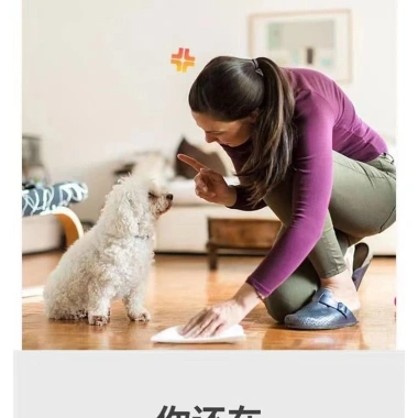 Tấm lót vệ sinh cho chó lớn chất dẫn dụ siêu thấm hút - Huấn luyện đi vệ sinh trong nhà, giá ưu đãi 348.869₫ 4