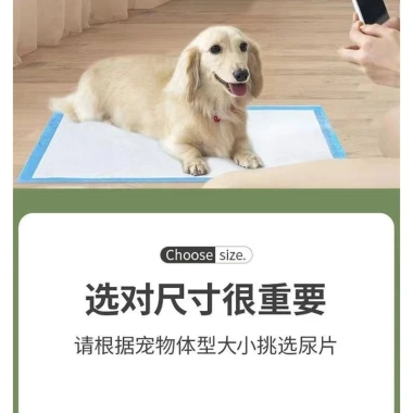 Tấm lót vệ sinh cho chó lớn chất dẫn dụ siêu thấm hút - Huấn luyện đi vệ sinh trong nhà, giá ưu đãi 348.869₫ 5