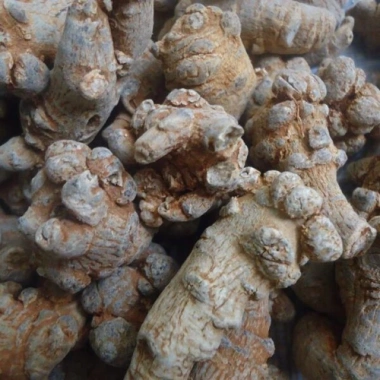 Tam Thất Bắc 9 củ 100g - Tinh chất tự nhiên, hỗ trợ tiêu hoá, giá 189.000đ 2