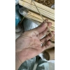 Tăm Tre Dài Bào Nhẵn 30 Thanh Size 3/4/5mm Dài 50-60cm Làm Mô Hình Giá 16.000 VND 2