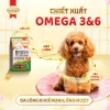 Tặng 2 bịch nhỏ - Thức ăn SmartHeart Gold chuẩn Nhật hạt cho chó nhỏ vị cừu và gạo 1kg - Giá ưu đãi 146.700 VND 4