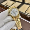 Tặng Hộp Đẹp Đồng Hồ Nam RoLex Sapphire RA22 36mm/40mm Mặt MOP Máy Cơ Automatic Nhật – Giá Ưu Đãi 2.55 Triệu 10